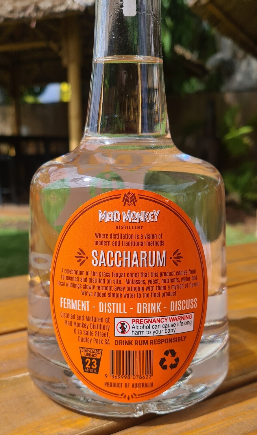 Saccharum